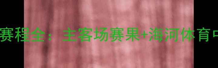 图片 天津泰达足球赛程全：主客场赛果+海河体育中心场馆指南1