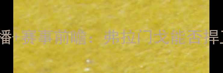 图片 奥瓦vs弗拉门戈高清直播+赛事前瞻：弗拉门戈能否捍卫南美霸主地位？🔥⚽1