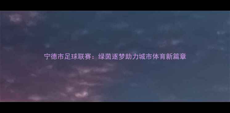 图片 宁德市足球联赛：绿茵逐梦助力城市体育新篇章