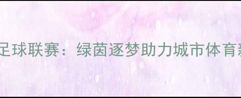 图片 宁德市足球联赛：绿茵逐梦助力城市体育新篇章2