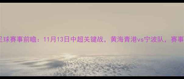 图片 宁波足球赛事前瞻：11月13日中超关键战，黄海青港vs宁波队，赛事看点1