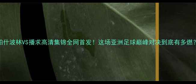 图片 帕什波林VS播求高清集锦全网首发！这场亚洲足球巅峰对决到底有多燃？