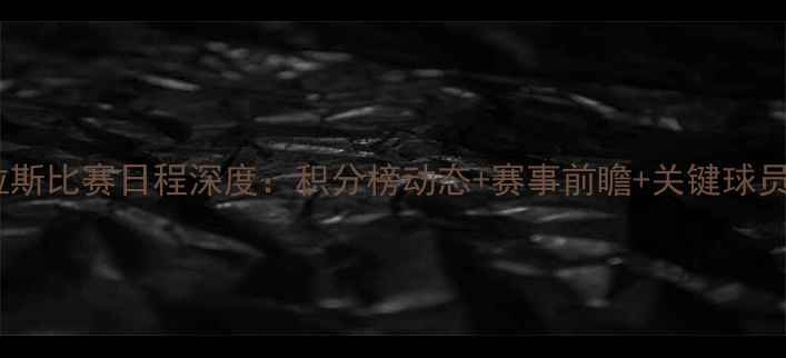 图片 帕梅拉斯比赛日程深度：积分榜动态+赛事前瞻+关键球员表现2