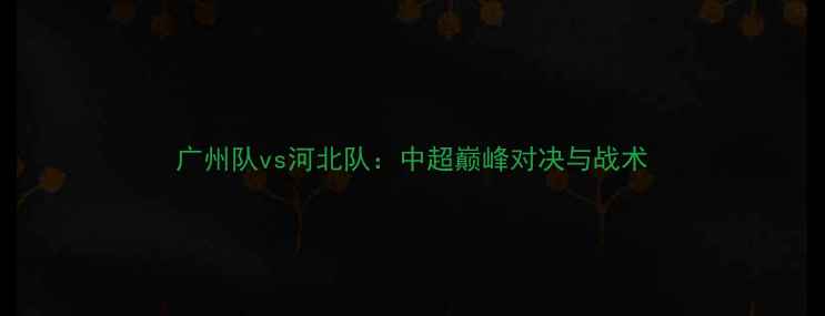 图片 广州队vs河北队：中超巅峰对决与战术