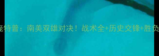 图片 弗拉门vs庞特普：南美双雄对决！战术全+历史交锋+胜负预测💥🔥2