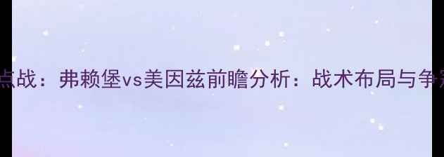 图片 德甲焦点战：弗赖堡vs美因兹前瞻分析：战术布局与争冠悬念1