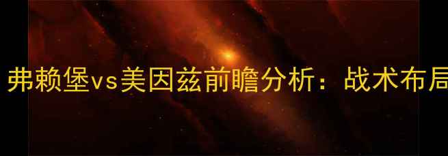 图片 德甲焦点战：弗赖堡vs美因兹前瞻分析：战术布局与争冠悬念2