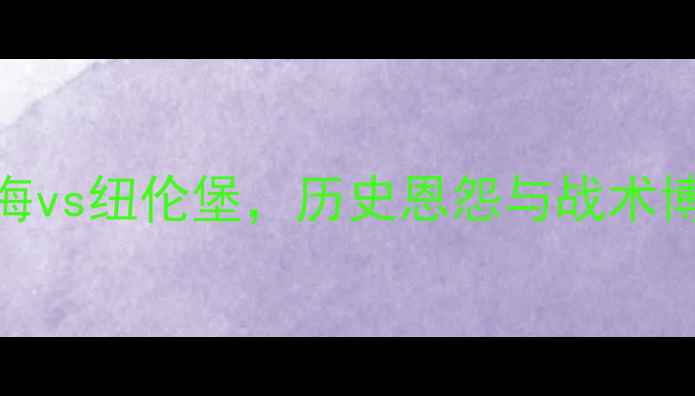 图片 德甲焦点战：海登海vs纽伦堡，历史恩怨与战术博弈谁将主宰赛场？