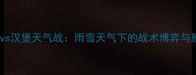 图片 德甲门兴vs汉堡天气战：雨雪天气下的战术博弈与胜负天平2