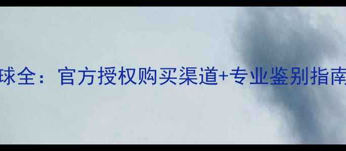 图片 意甲正版比赛用球全：官方授权购买渠道+专业鉴别指南（附使用攻略）