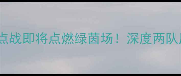 图片 曼城vs热刺：英超焦点战即将点燃绿茵场！深度两队历史恩怨与战术布局2