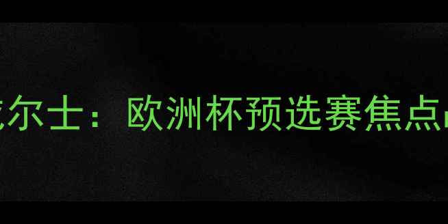 图片 标准列日vs威尔士：欧洲杯预选赛焦点战前瞻与战术