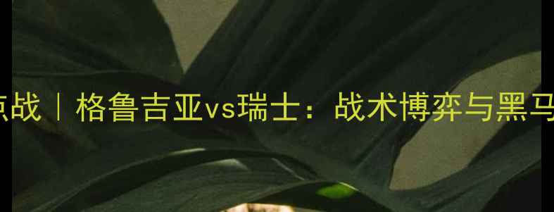 图片 欧洲杯焦点战｜格鲁吉亚vs瑞士：战术博弈与黑马潜力！🔥2