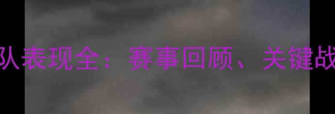 图片 欧洲杯瑞典队表现全：赛事回顾、关键战与历史意义