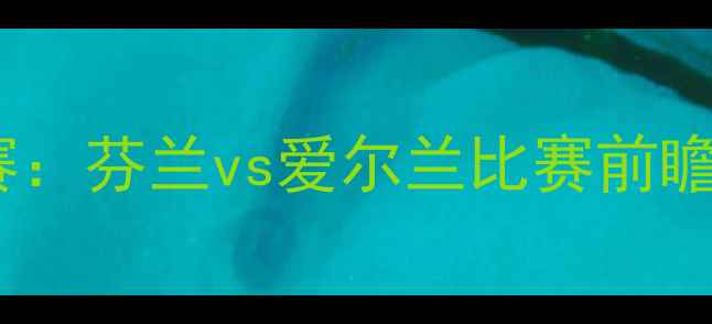 图片 欧洲杯预选赛：芬兰vs爱尔兰比赛前瞻与深度分析1