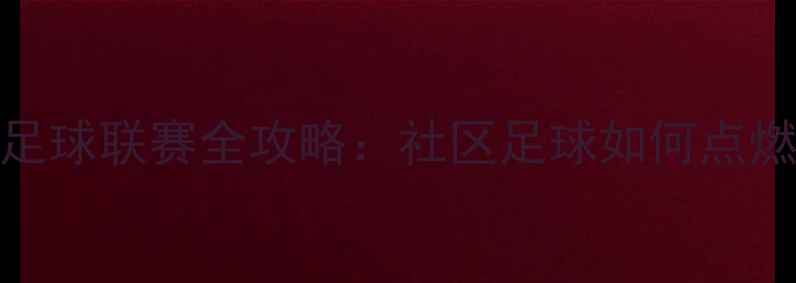 图片 沈阳业余足球联赛全攻略：社区足球如何点燃城市激情