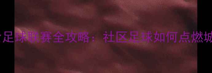 图片 沈阳业余足球联赛全攻略：社区足球如何点燃城市激情2