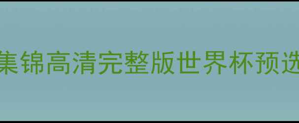 图片 法国vs南非比赛集锦高清完整版世界杯预选赛经典对决深度