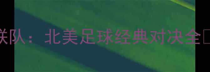 图片 洛杉矶FCvs华盛顿联队：北美足球经典对决全🔥战术球星数据盘点