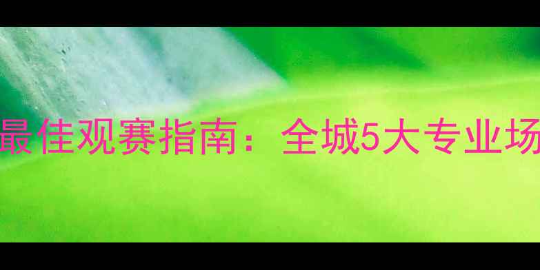 图片 济南足球比赛最佳观赛指南：全城5大专业场地+交通攻略2
