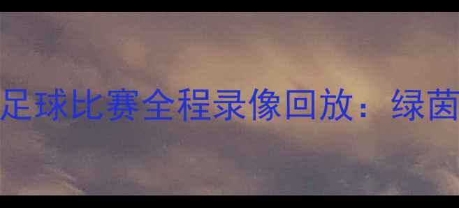 图片 浙江队vs广厦队足球比赛全程录像回放：绿茵对决与战术复盘