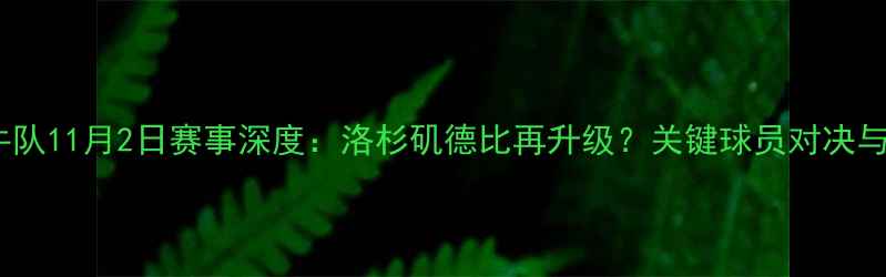 图片 湖人队VS小牛队11月2日赛事深度：洛杉矶德比再升级？关键球员对决与战术博弈全1