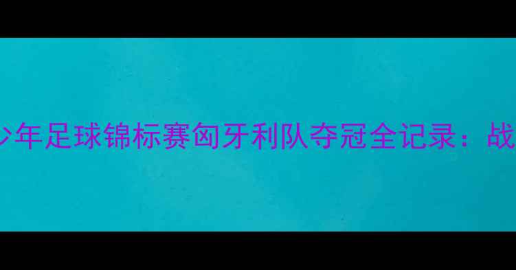 图片 熊猫杯国际青少年足球锦标赛匈牙利队夺冠全记录：战术与赛事启示1