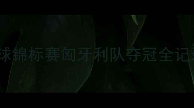 图片 熊猫杯国际青少年足球锦标赛匈牙利队夺冠全记录：战术与赛事启示2