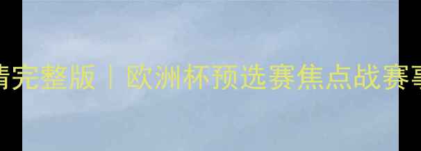 图片 瑞士vs比利时高清完整版｜欧洲杯预选赛焦点战赛事集锦（附技术）