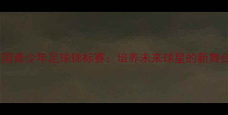 图片 美国青少年足球锦标赛：培养未来球星的新舞台1