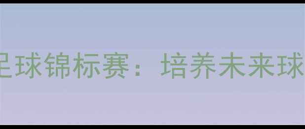 图片 美国青少年足球锦标赛：培养未来球星的新舞台2