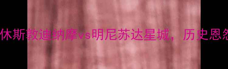 图片 美职联焦点战：休斯敦迪纳摩vs明尼苏达星城，历史恩怨与战术博弈全2