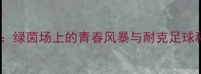 图片 耐高杯南区足球联赛激战正酣：绿茵场上的青春风暴与耐克足球科技如何助力球员突破极限？1