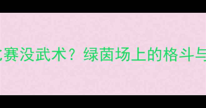 图片 职业足球比赛没武术？绿茵场上的格斗与战术艺术1