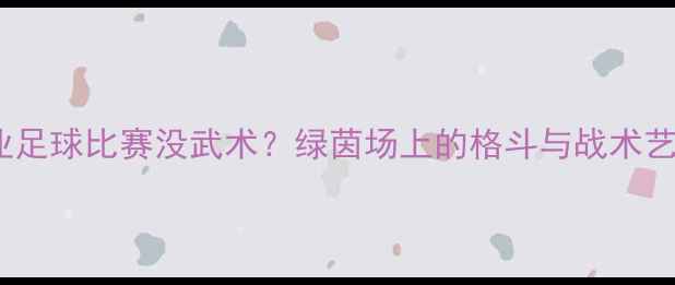 图片 职业足球比赛没武术？绿茵场上的格斗与战术艺术2