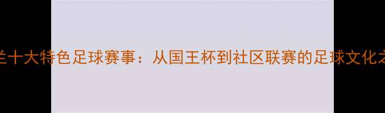 图片 荷兰十大特色足球赛事：从国王杯到社区联赛的足球文化之旅