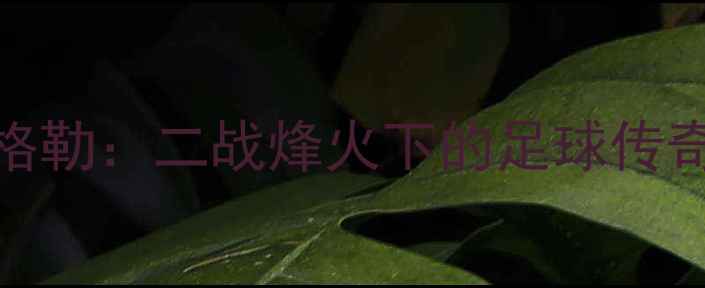 图片 莫斯科VS斯大林格勒：二战烽火下的足球传奇与城市重生之路
