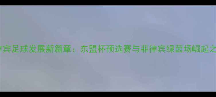 图片 菲律宾足球发展新篇章：东盟杯预选赛与菲律宾绿茵场崛起之路1