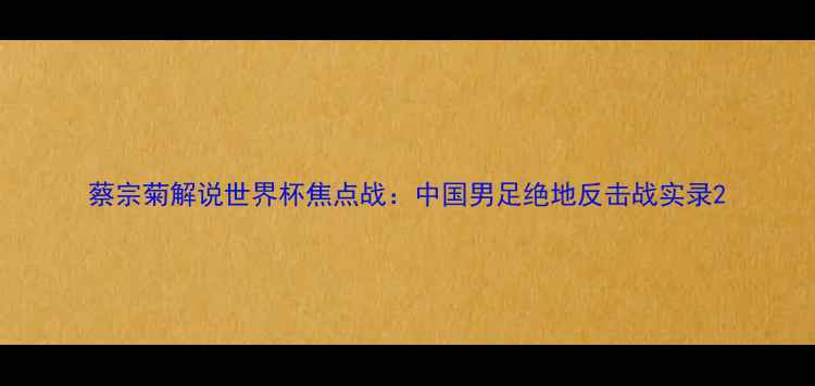 图片 蔡宗菊解说世界杯焦点战：中国男足绝地反击战实录2