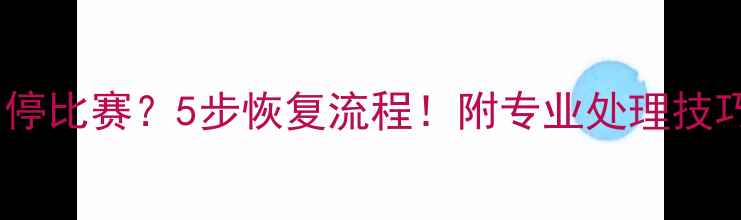 图片 裁判吹哨暂停比赛？5步恢复流程！附专业处理技巧（附图）1