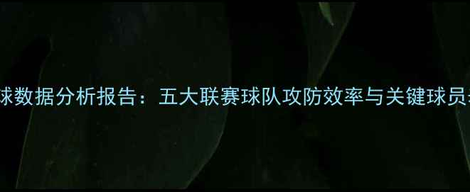 图片 赛季VS足球数据分析报告：五大联赛球队攻防效率与关键球员表现深度2