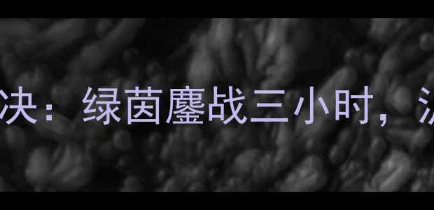 图片 赛季上港vs恒大经典对决：绿茵鏖战三小时，沪穗豪门争锋亚冠门票1