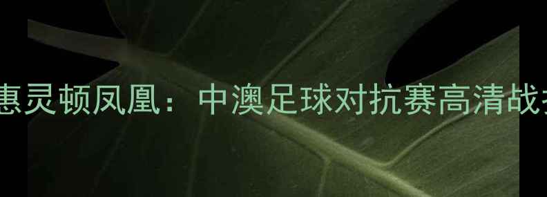 图片 赛季中岸水手vs惠灵顿凤凰：中澳足球对抗赛高清战报与战术！🏆⚽1