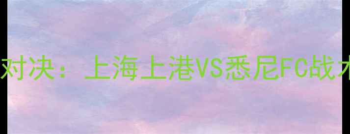 图片 赛季中超与澳超焦点对决：上海上港VS悉尼FC战术博弈与争冠悬念全2