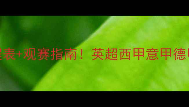 图片 赛季五大联赛赛程表+观赛指南！英超西甲意甲德甲法甲完整时间表