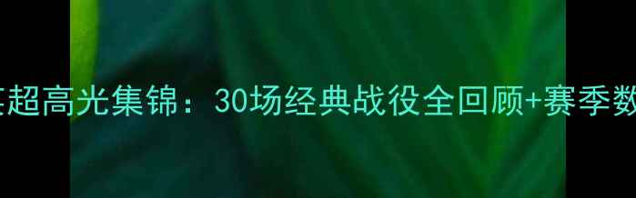 图片 赛季英超高光集锦：30场经典战役全回顾+赛季数据大1