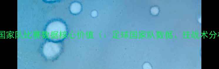 图片 足球国家队比赛数据核心价值（：足球国家队数据、技战术分析）1