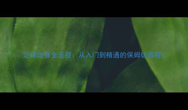 图片 足球比赛全流程：从入门到精通的保姆级教程1