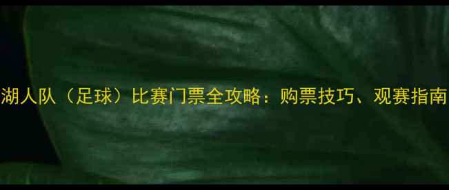 图片 足球盛宴！湖人队（足球）比赛门票全攻略：购票技巧、观赛指南与球迷福利