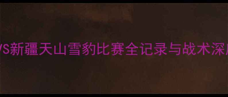 图片 足球经典对决：广州队VS新疆天山雪豹比赛全记录与战术深度（附官方集锦链接）1